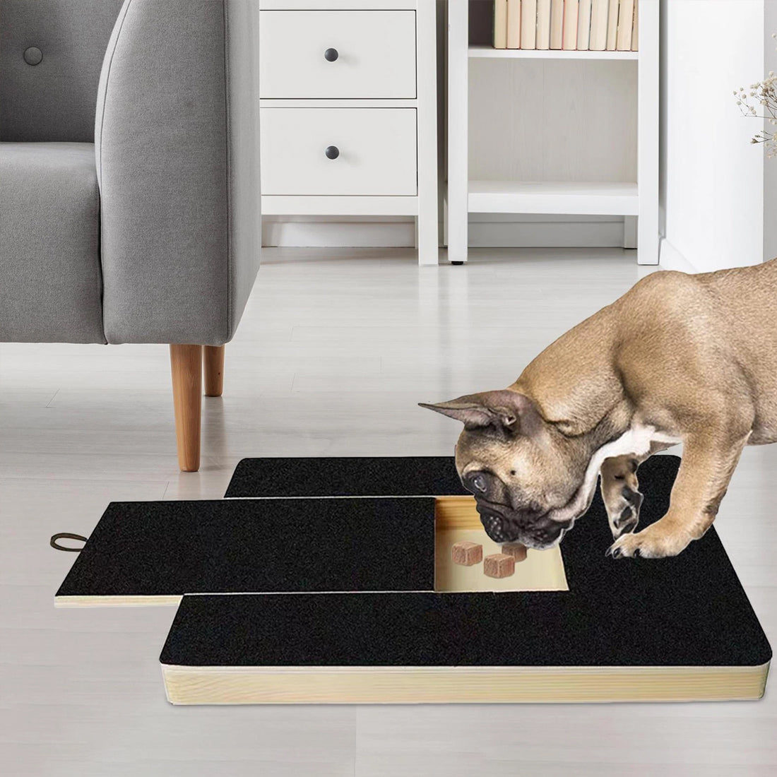 Dog nail scratch board being scratched by a French bulldog in a living room