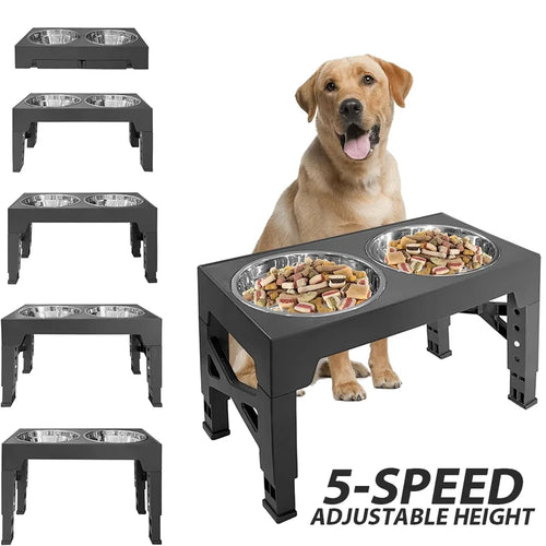 Black raised feeding stand with a golden retriever beside it, plus small photos of its five height settings