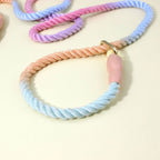 Rope slip lead close-up of the twisted rope, gold-coloured ring and pink rubber stopper on a cream surface
