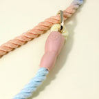 Rope slip lead close-up of the gold-coloured ring and pink rubber sleeve with a paw print