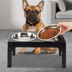 Black raised feeding stand with a steel bowl, a French bulldog beside it as a person pours in food
