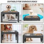 Black raised feeding stand in four photos, each with a different dog using it