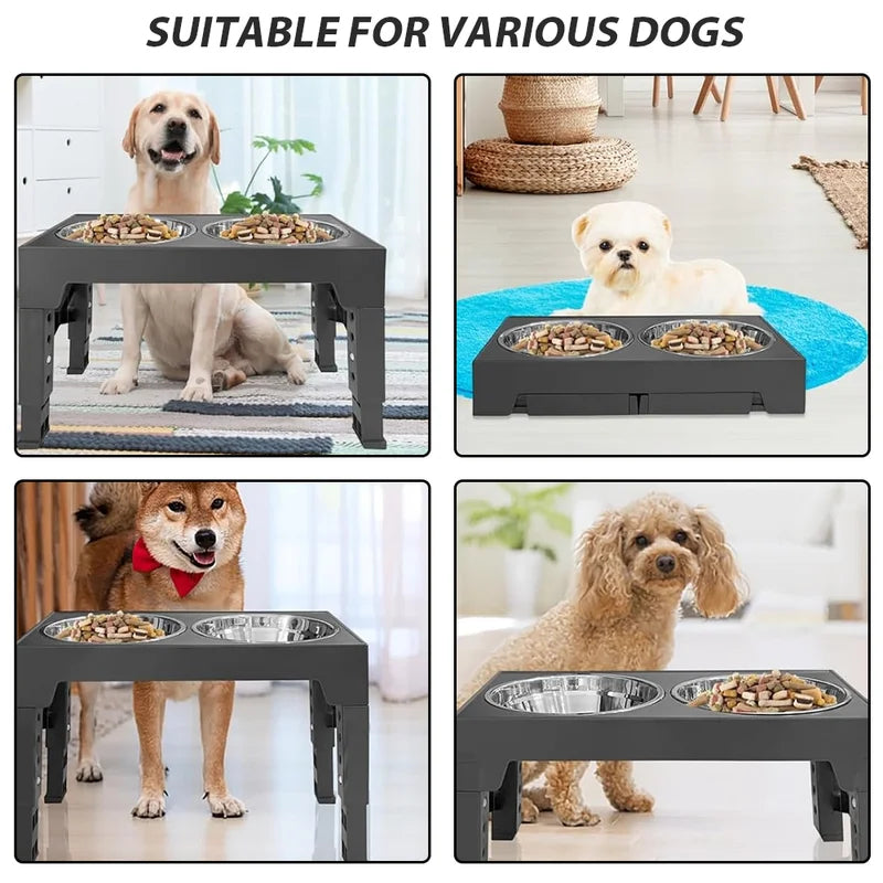 Black raised feeding stand in four photos, each with a different dog using it