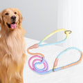 Pastel rainbow rope slip lead coiled on a white table next to a golden retriever