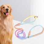 Pastel rainbow rope slip lead coiled on a white table next to a golden retriever