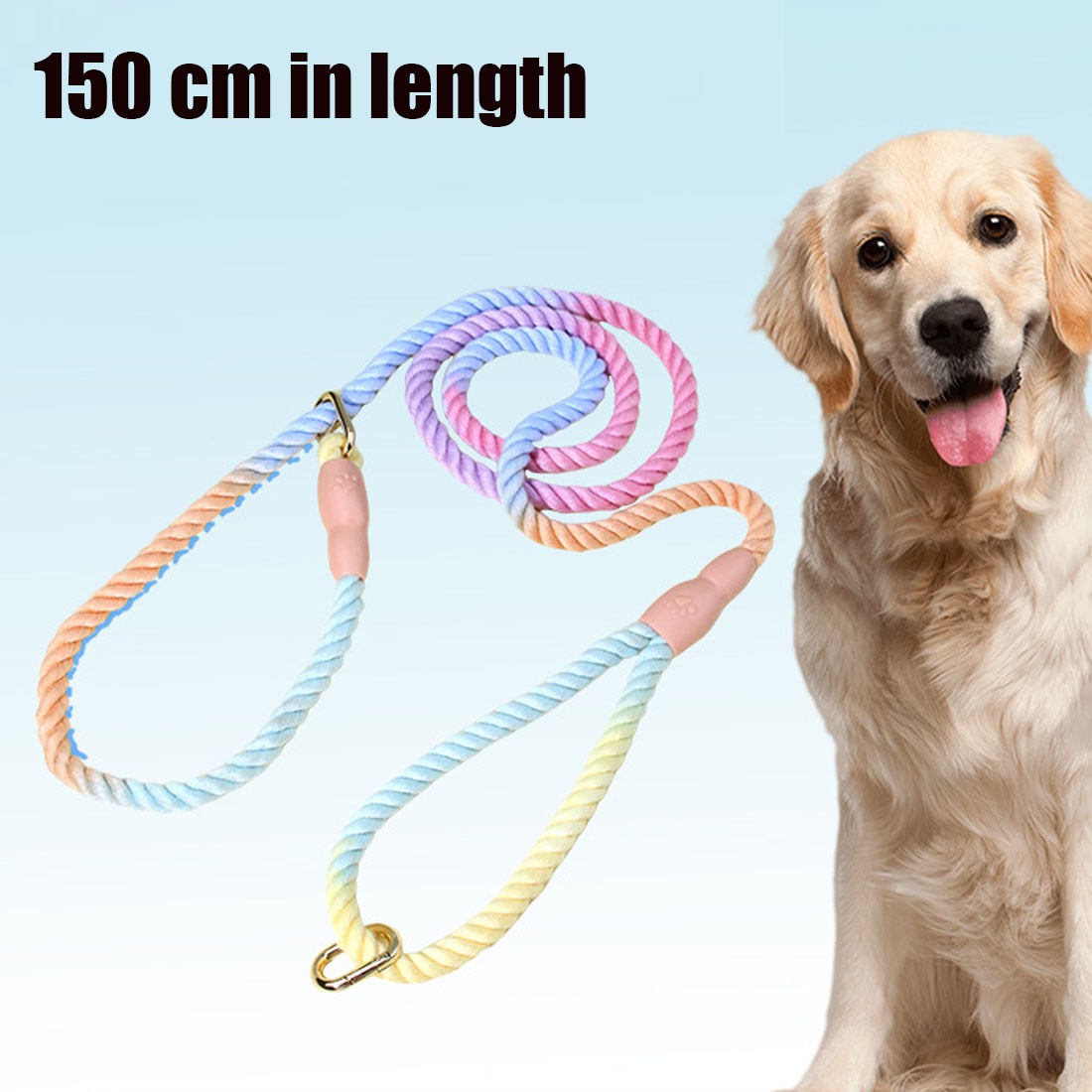 Pastel rainbow rope slip lead laid out on a pale blue background next to a golden retriever