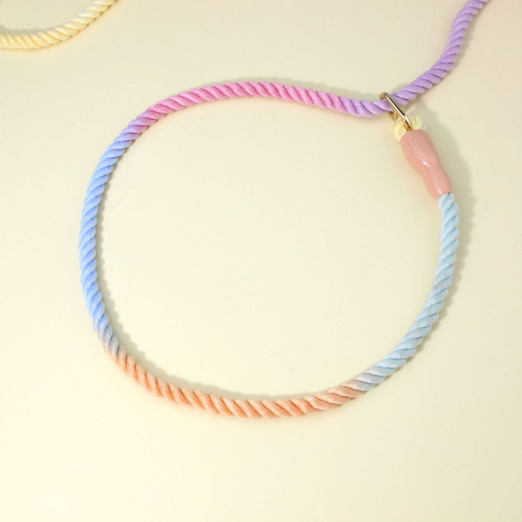 Rope slip lead close-up, rope pulled through its gold-coloured ring into a loop, with a pink rubber stopper