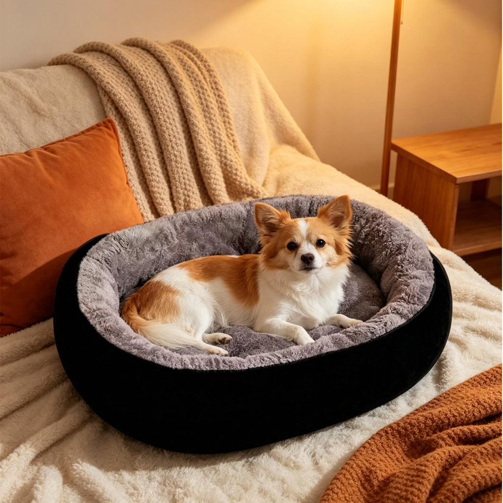 Round black dog bed with grey plush inner on a sofa, small dog curled up in it