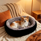 Round black dog bed with grey plush inner on a sofa, small dog curled up in it