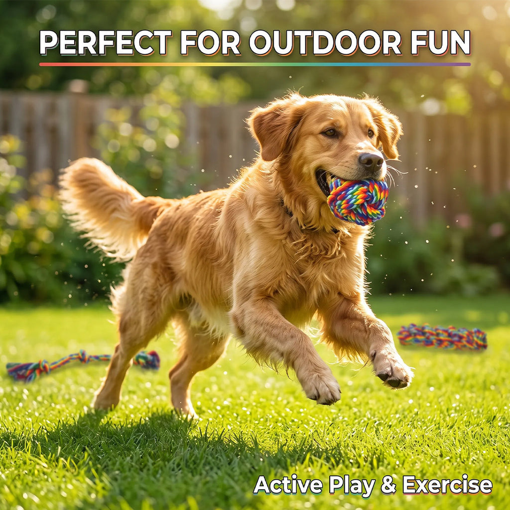 Rainbow rope ball in the mouth of a golden retriever running across a sunny garden lawn