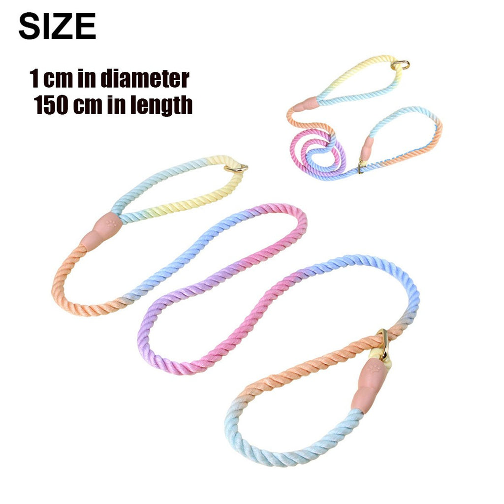 Pastel rainbow rope slip lead laid out in full on a white background