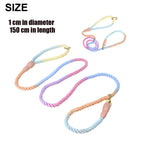 Pastel rainbow rope slip lead laid out in full on a white background