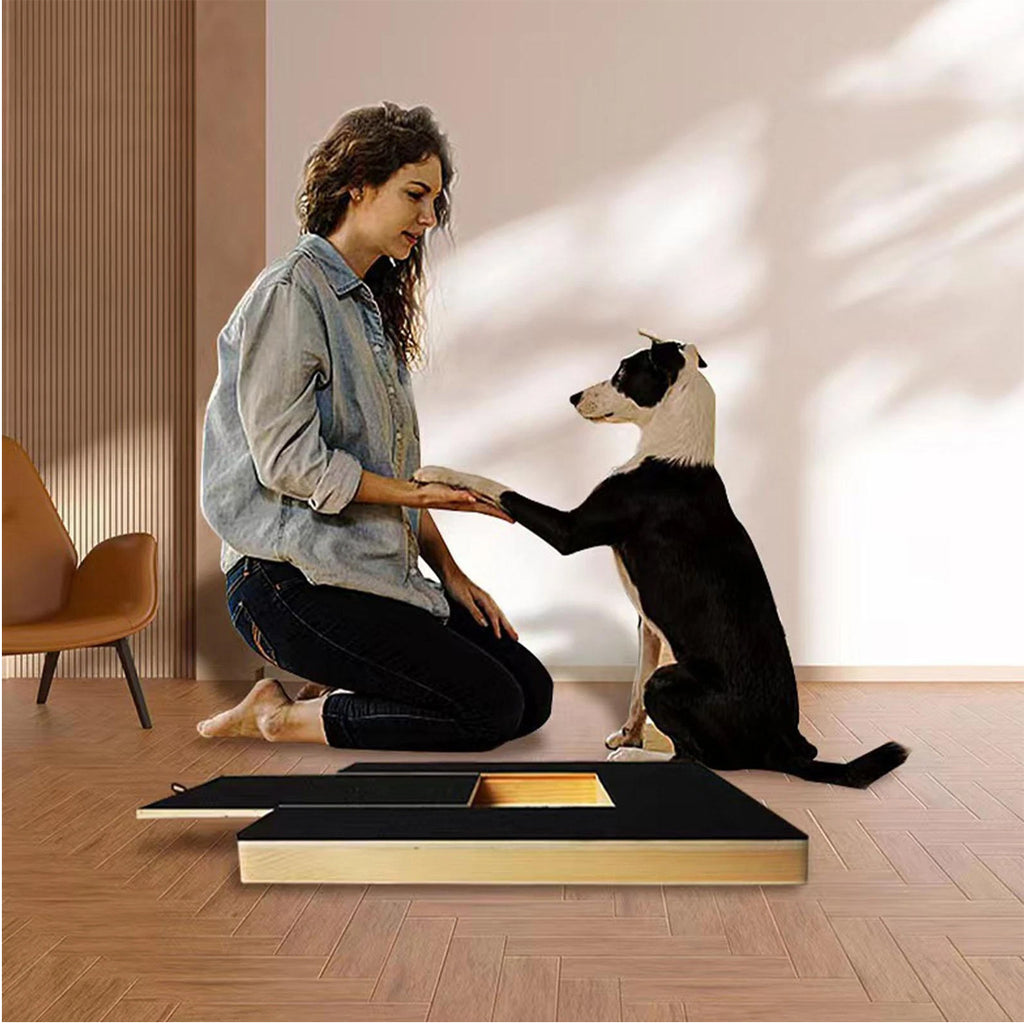 Dog nail scratch board in use by a black and white dog, with a woman kneeling beside it