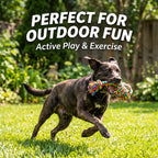 Rainbow rope toy in the mouth of a black dog running on grass